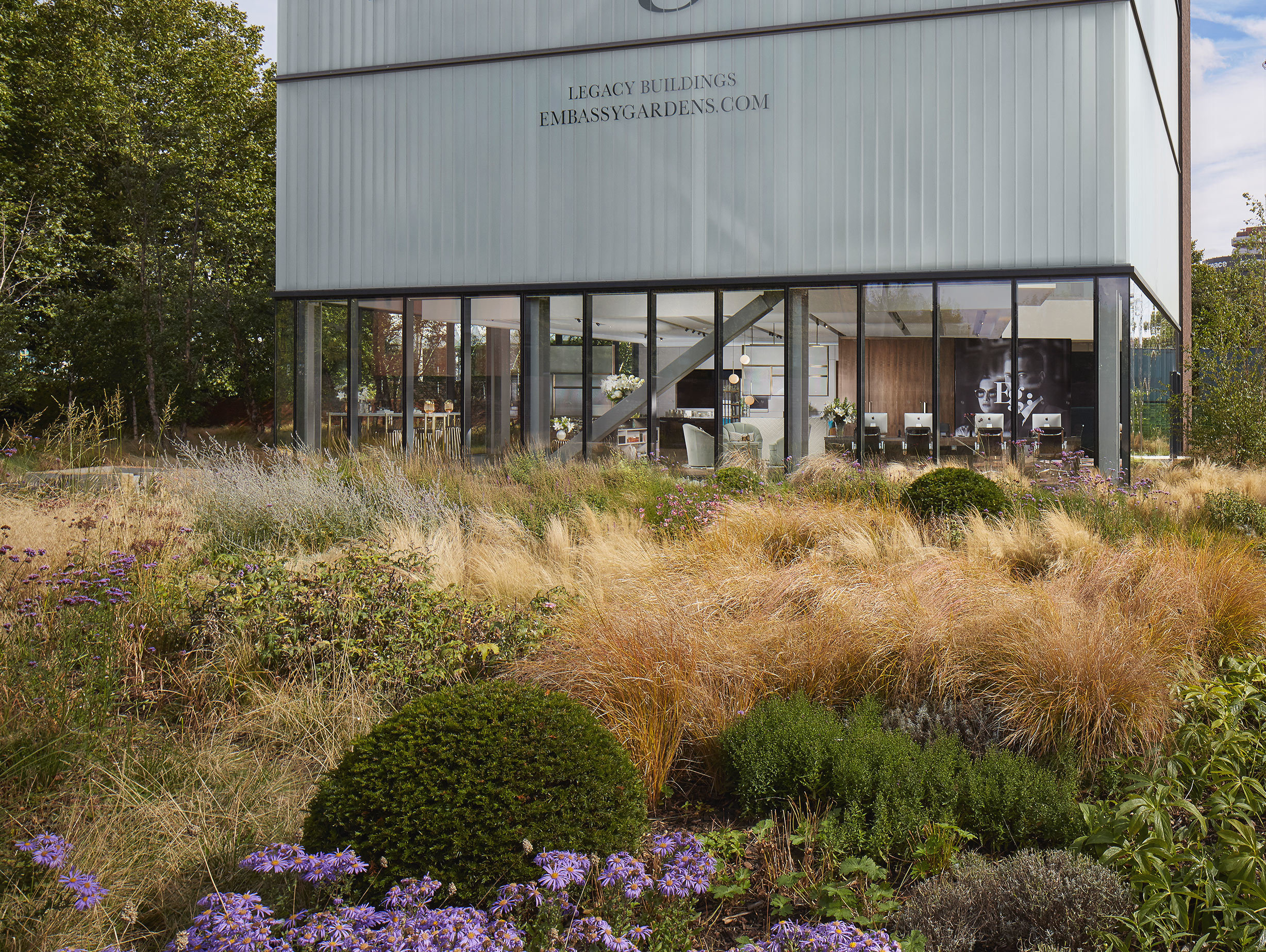 Embassy Gardens Amos Amos image