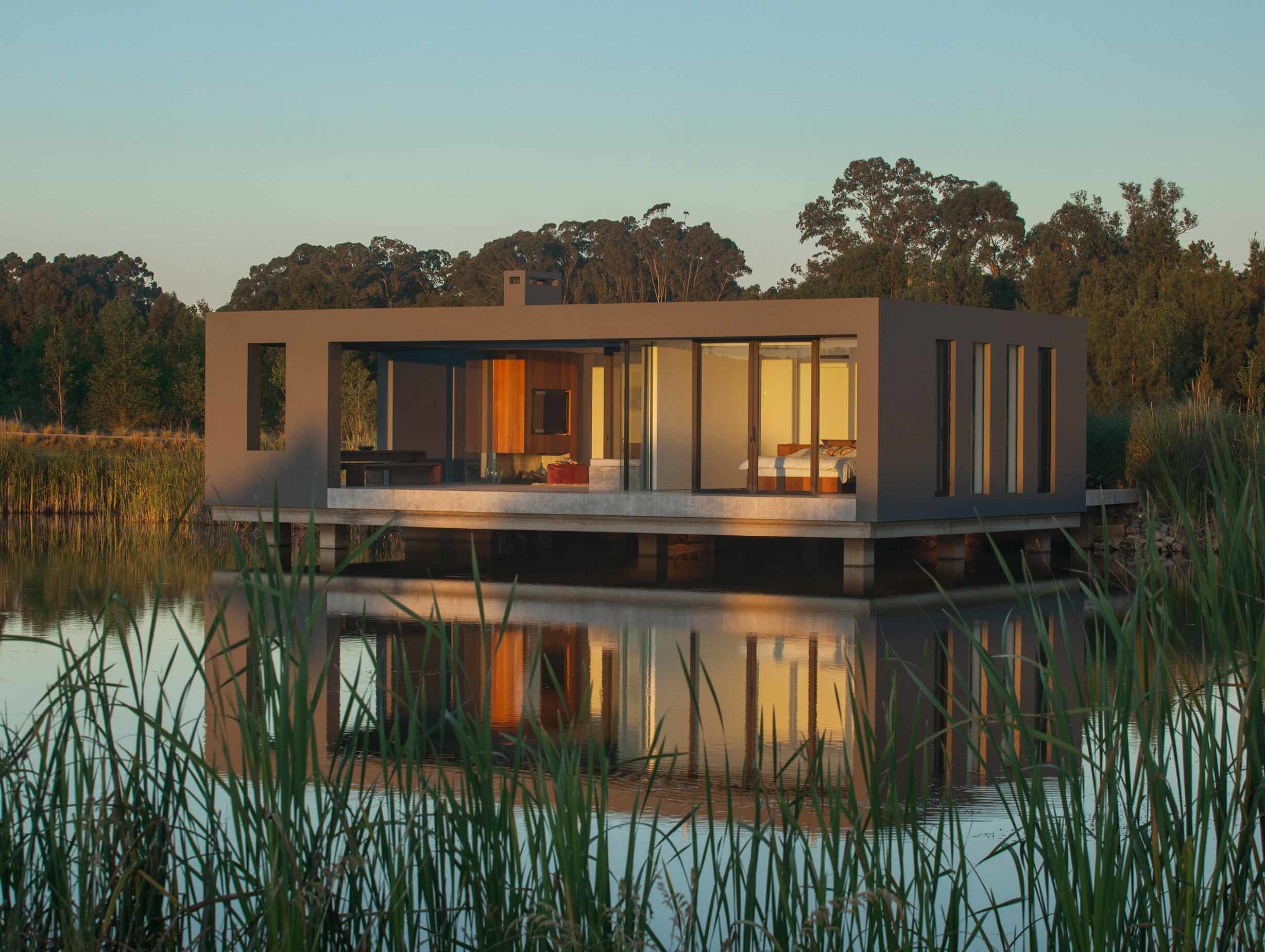 Stephania Kallos Uruguay 7 image