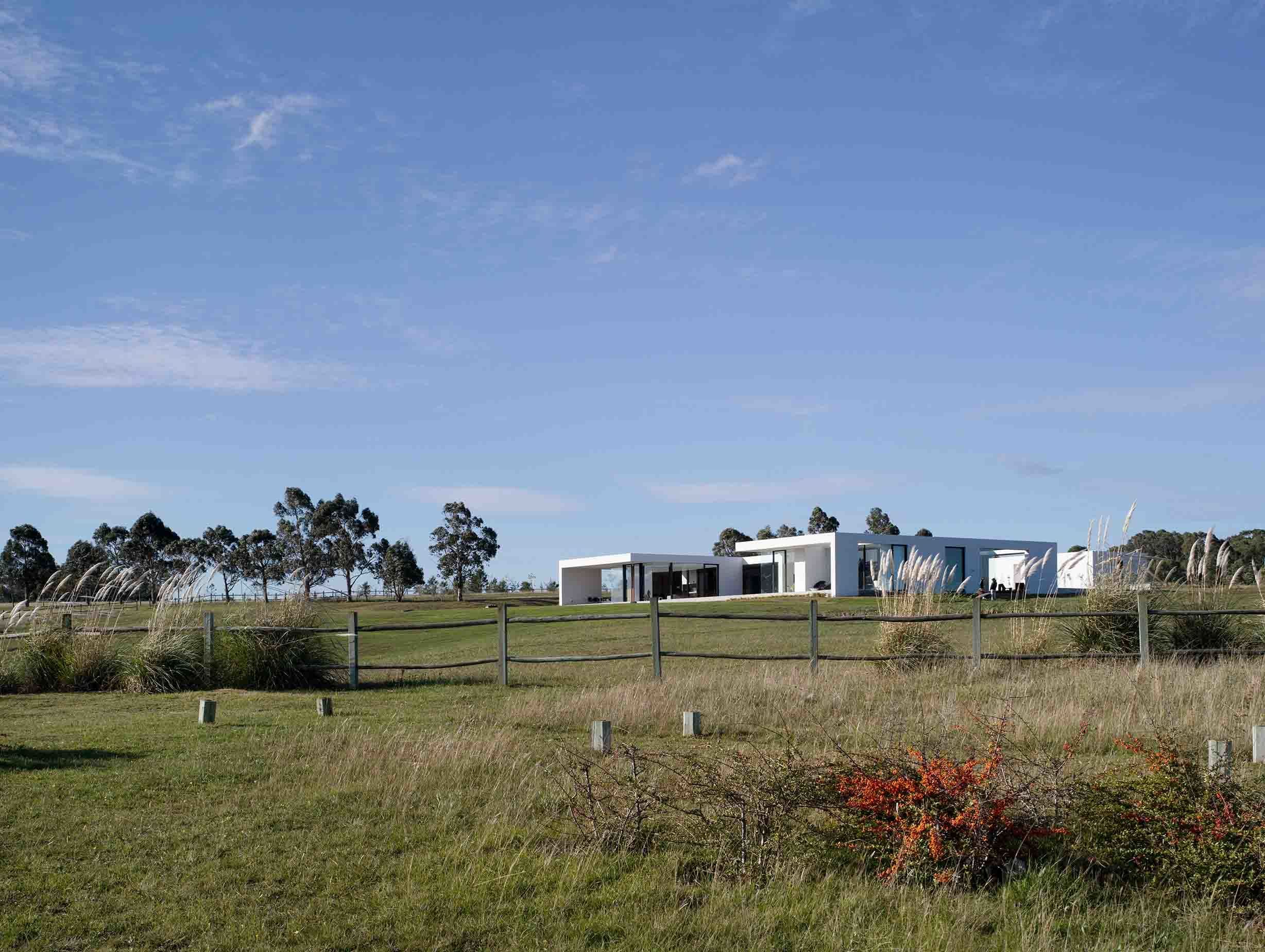 Stephania Kallos Uruguay image