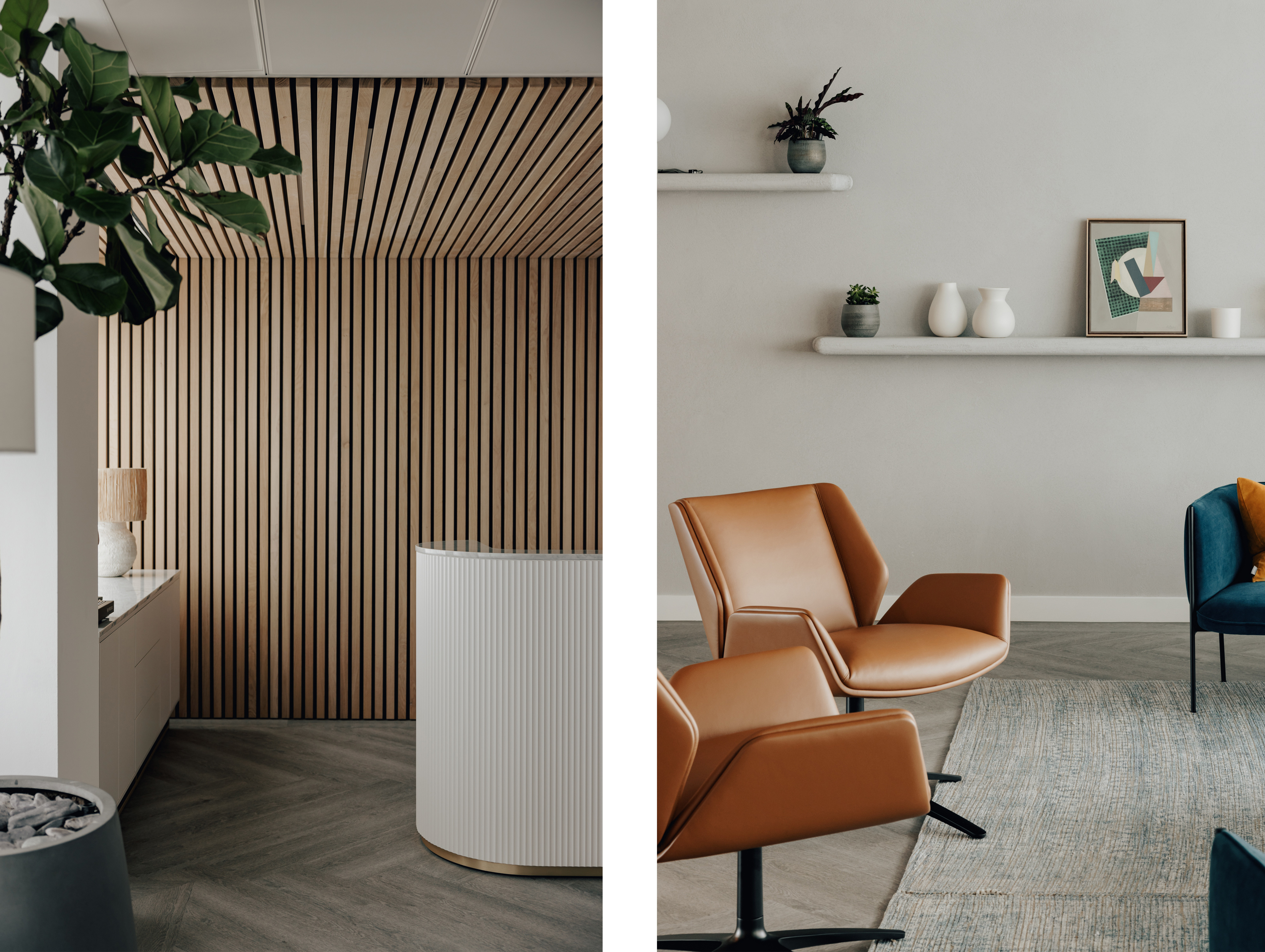 Linea studio iss 01 image