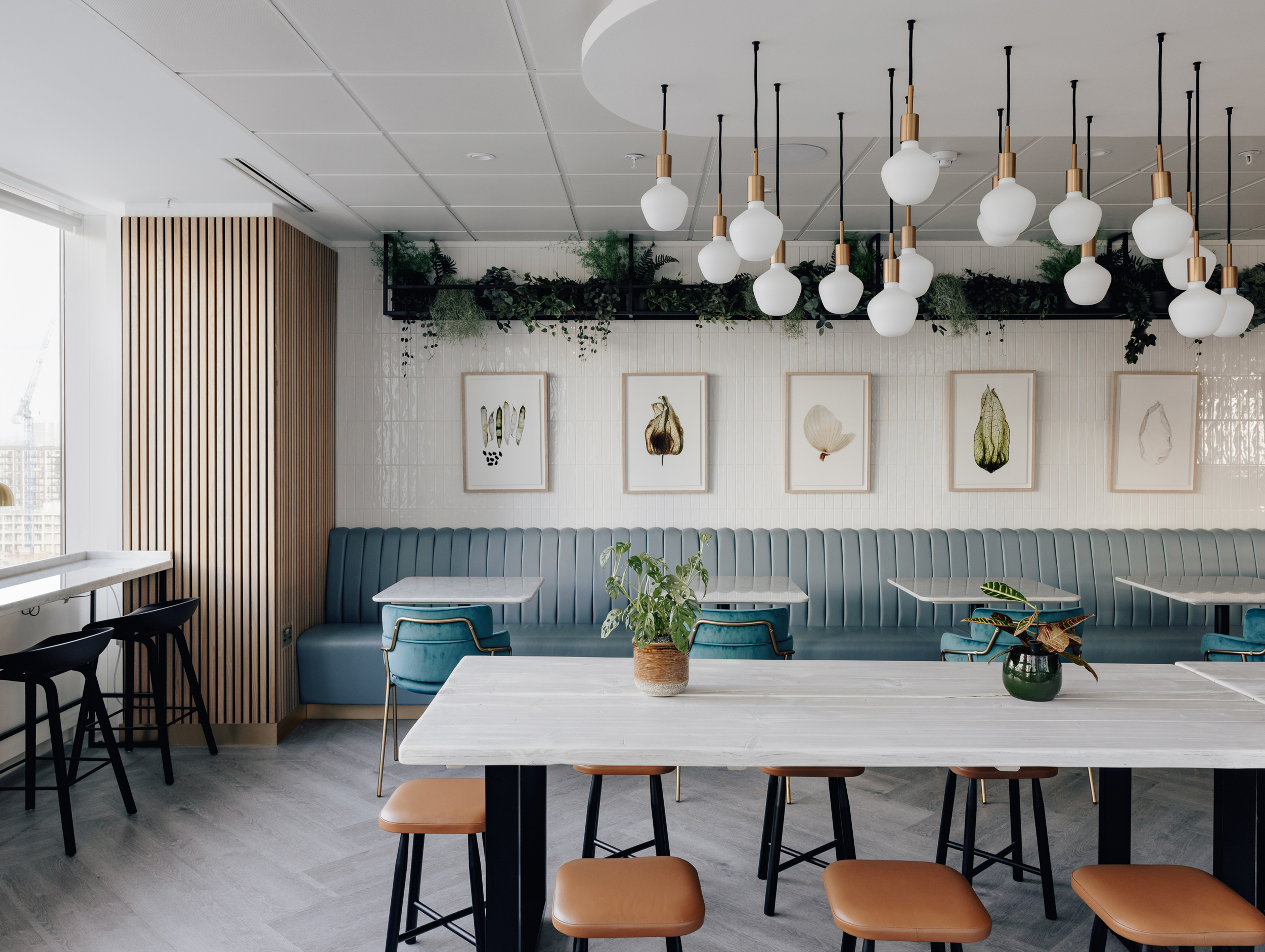 Linea studio iss 02 image