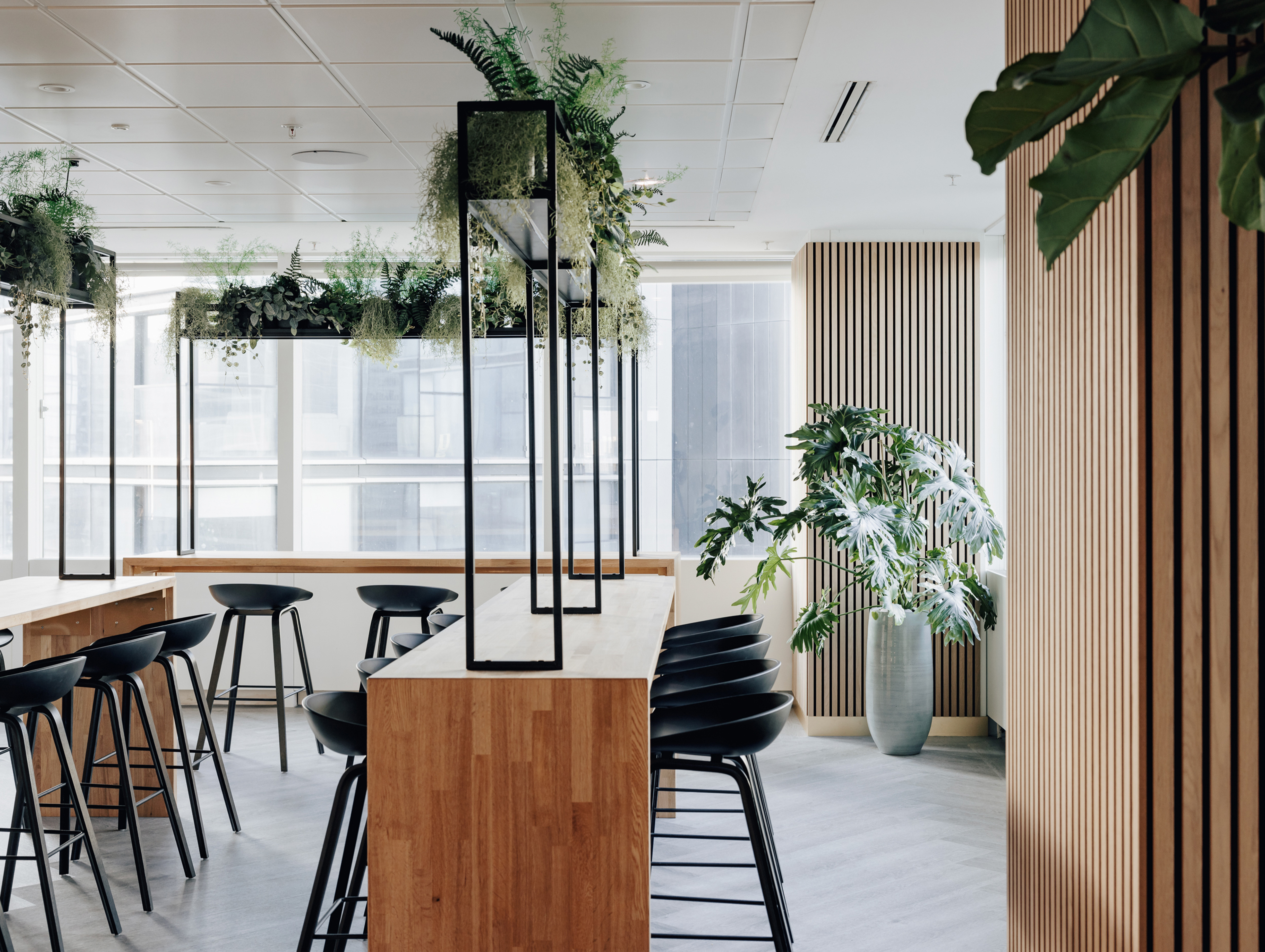 Linea studio iss 05 image