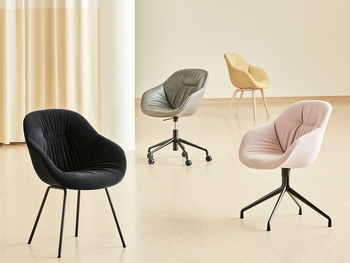 Hay AAC100 family 03