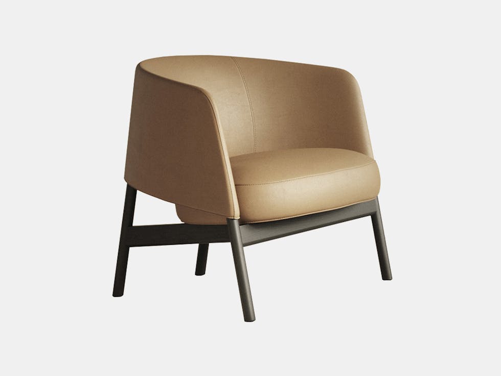 Collar Lounge Chair image