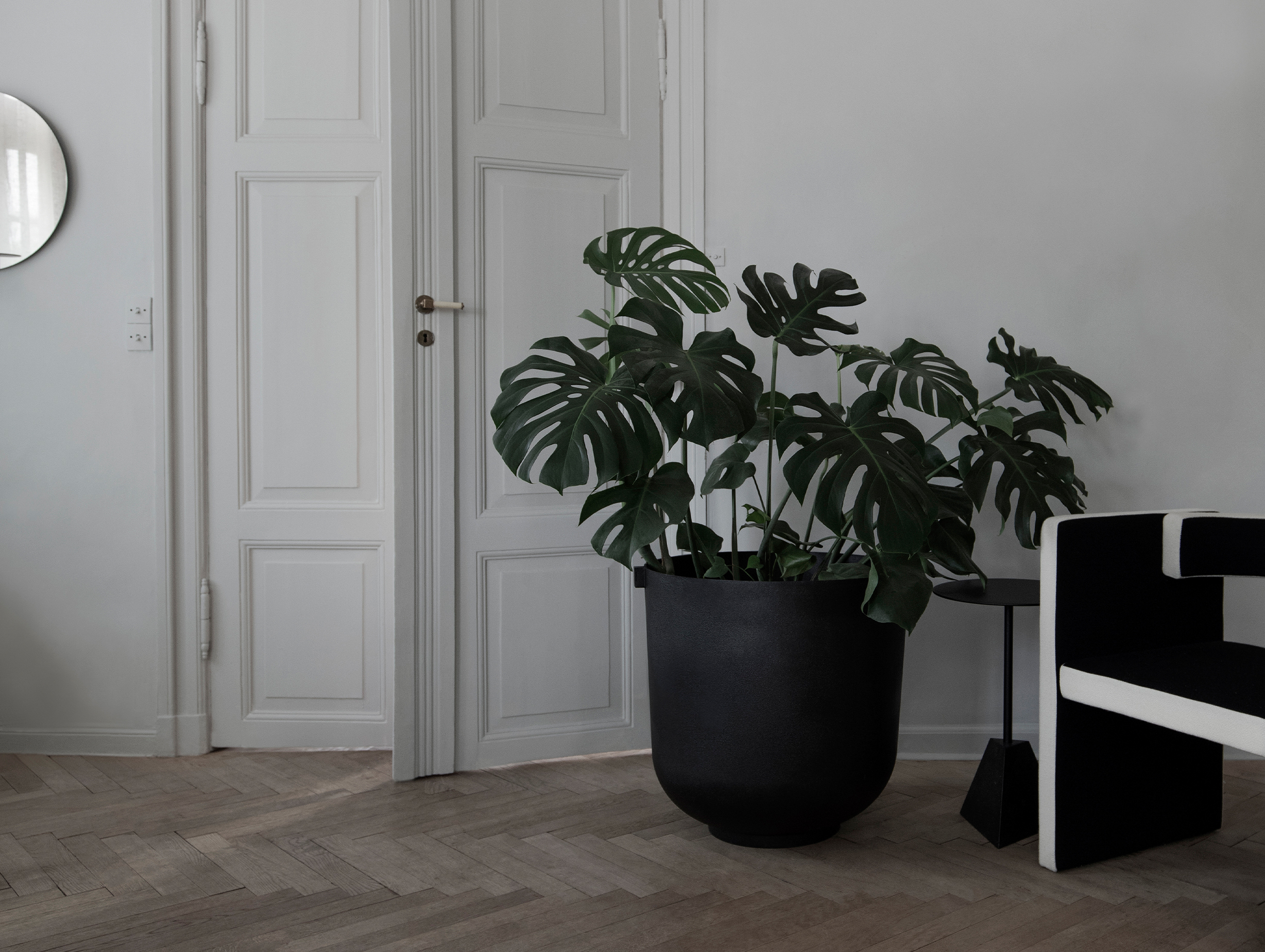 Friends founders castle planter story 1