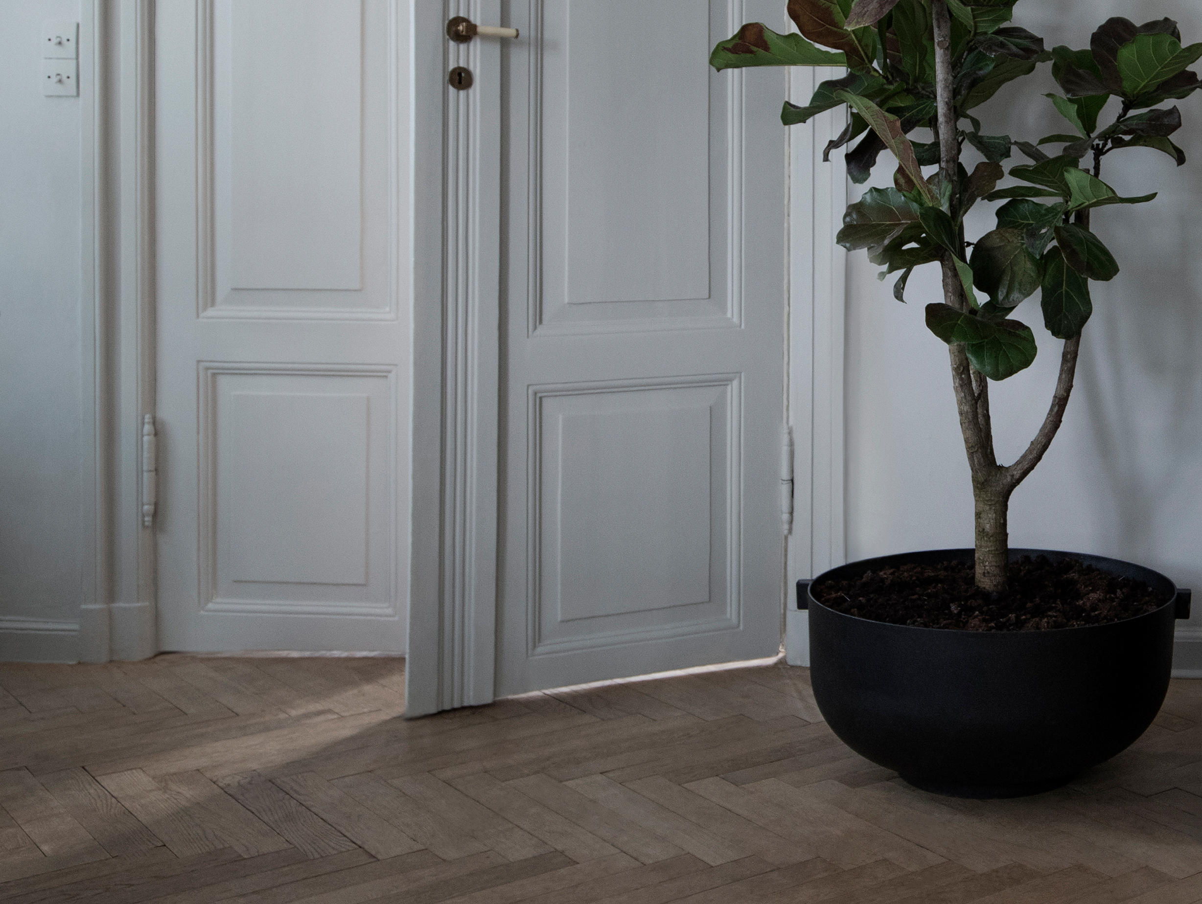 Friends founders castle planter story 2