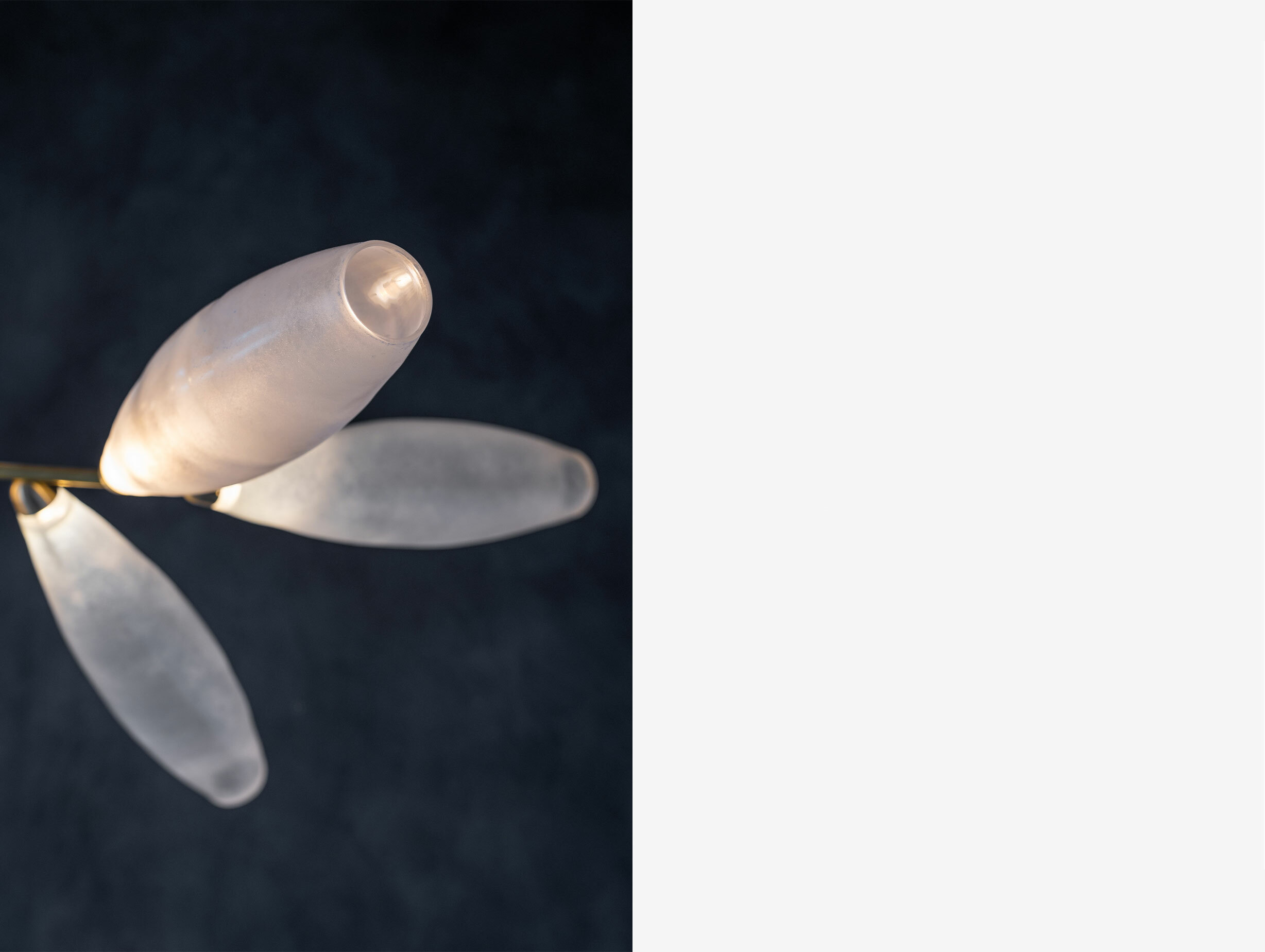 Giopato coombes gem chandelier story 1