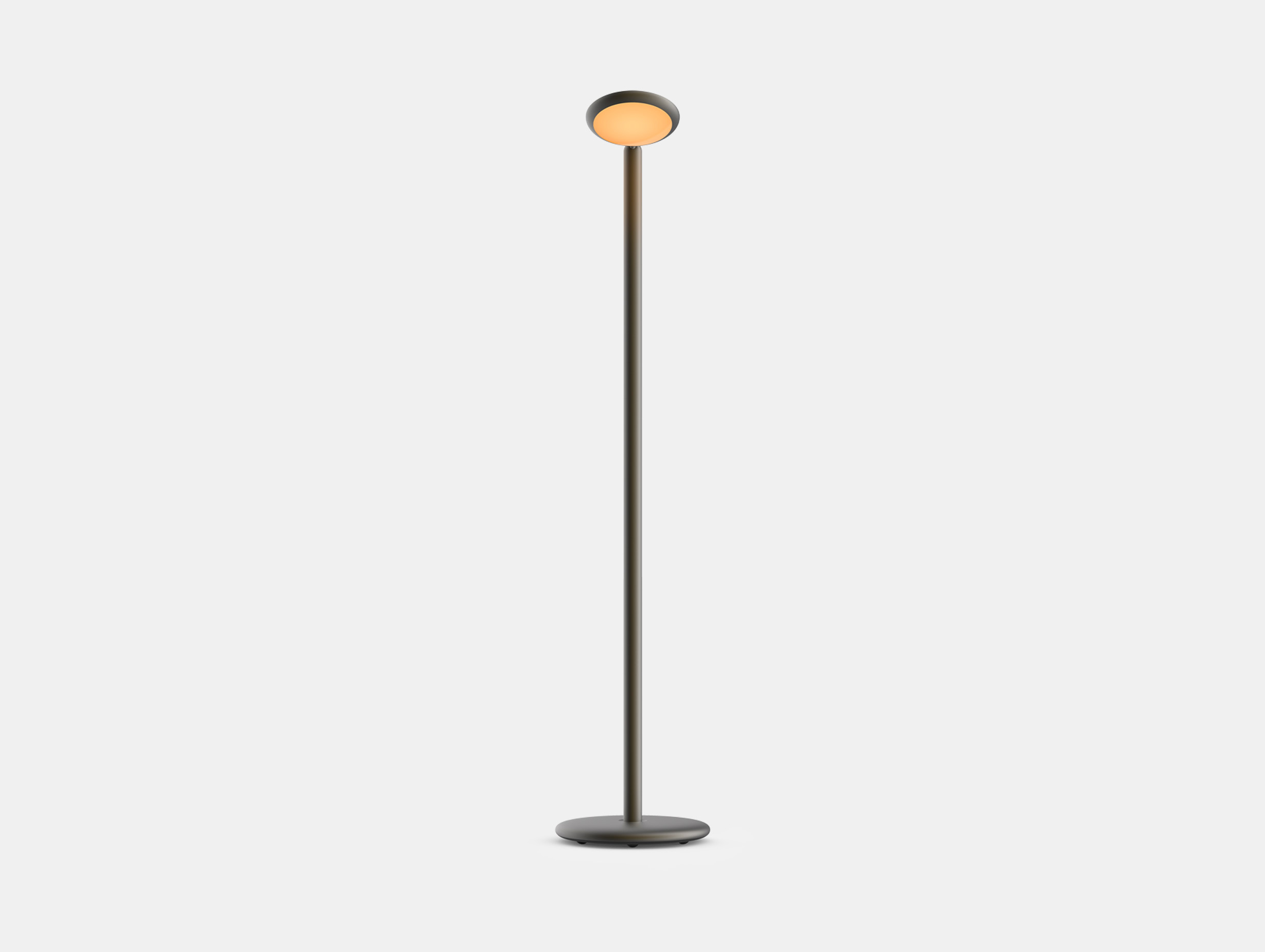 Grau parrot floor lamp black brass