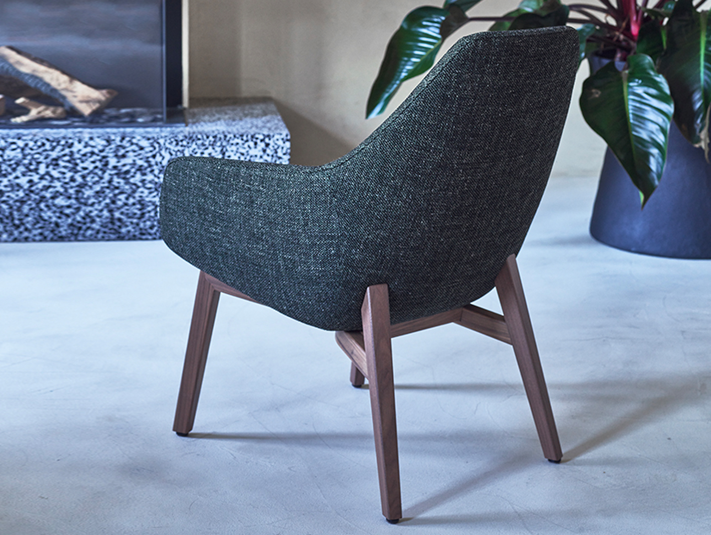 Montis vico lazy story 3