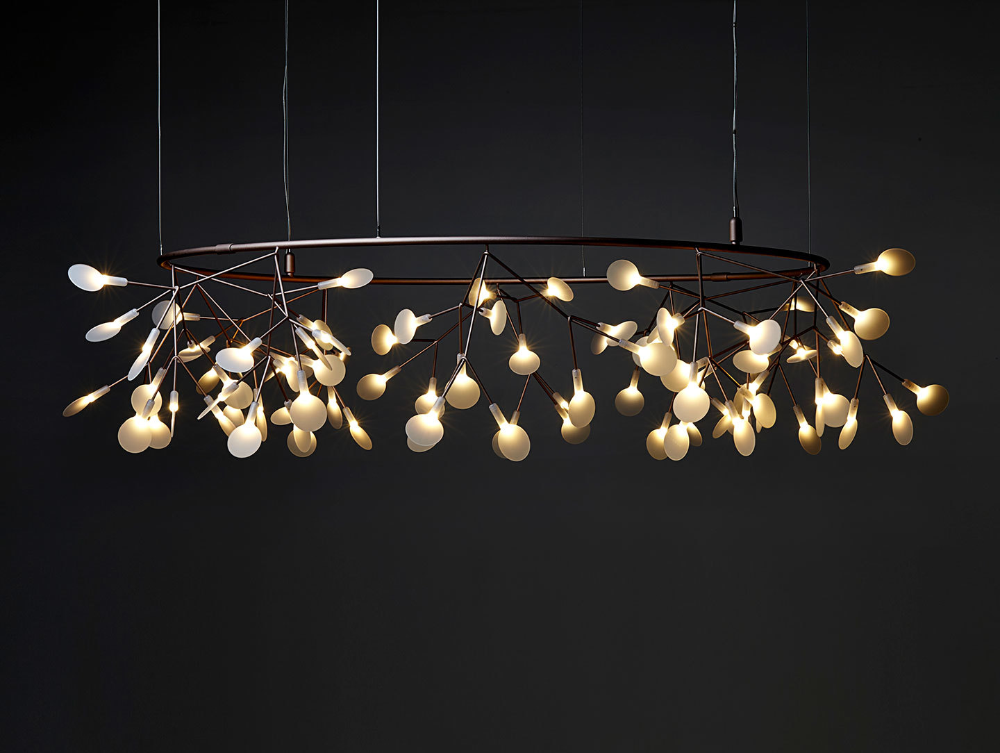 Moooi Heracleum Small Big O Suspension Light 2 Bertjan Pot