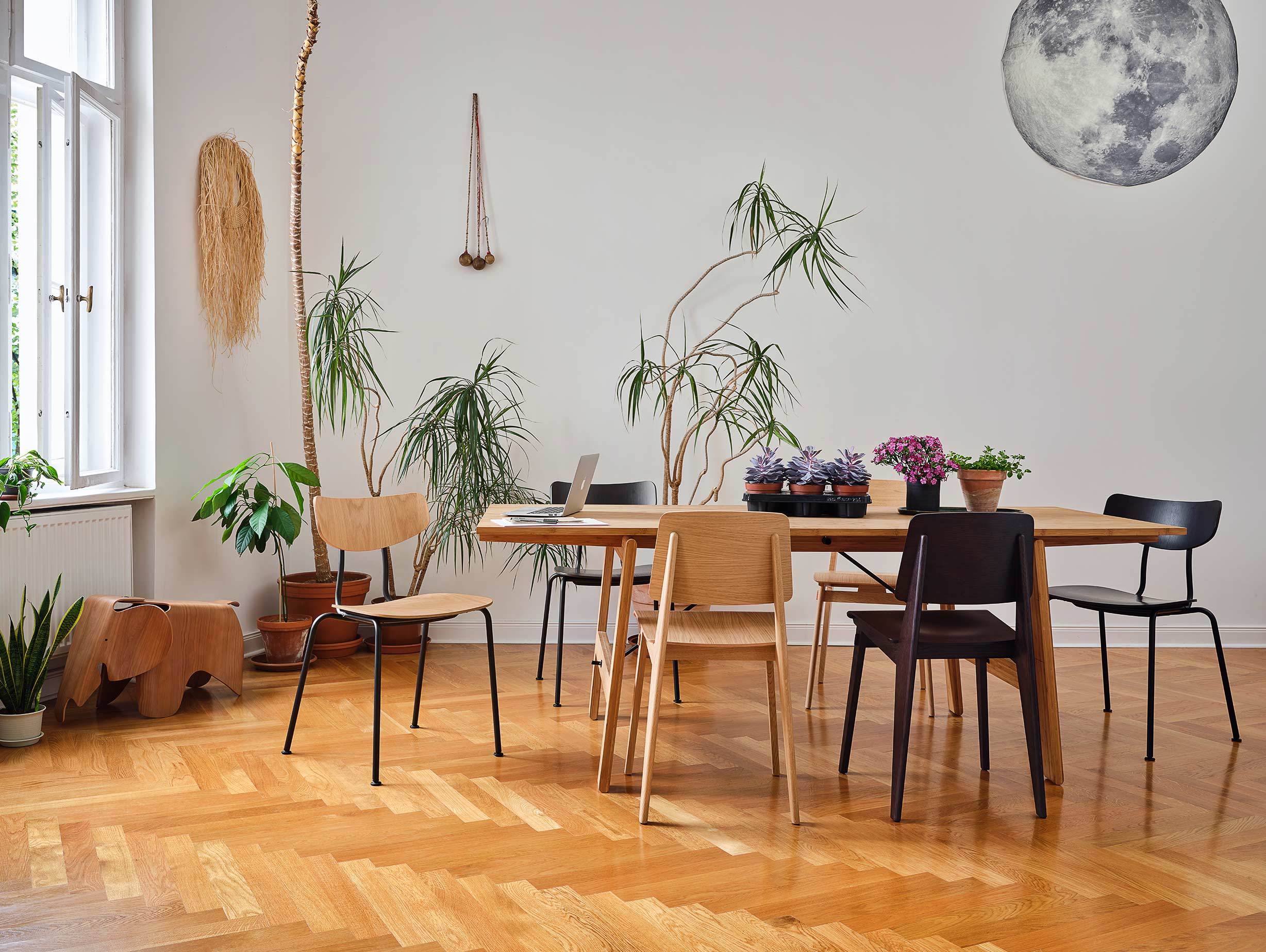 Vitra chaise tout bois prouve moca chair morrison ls 2