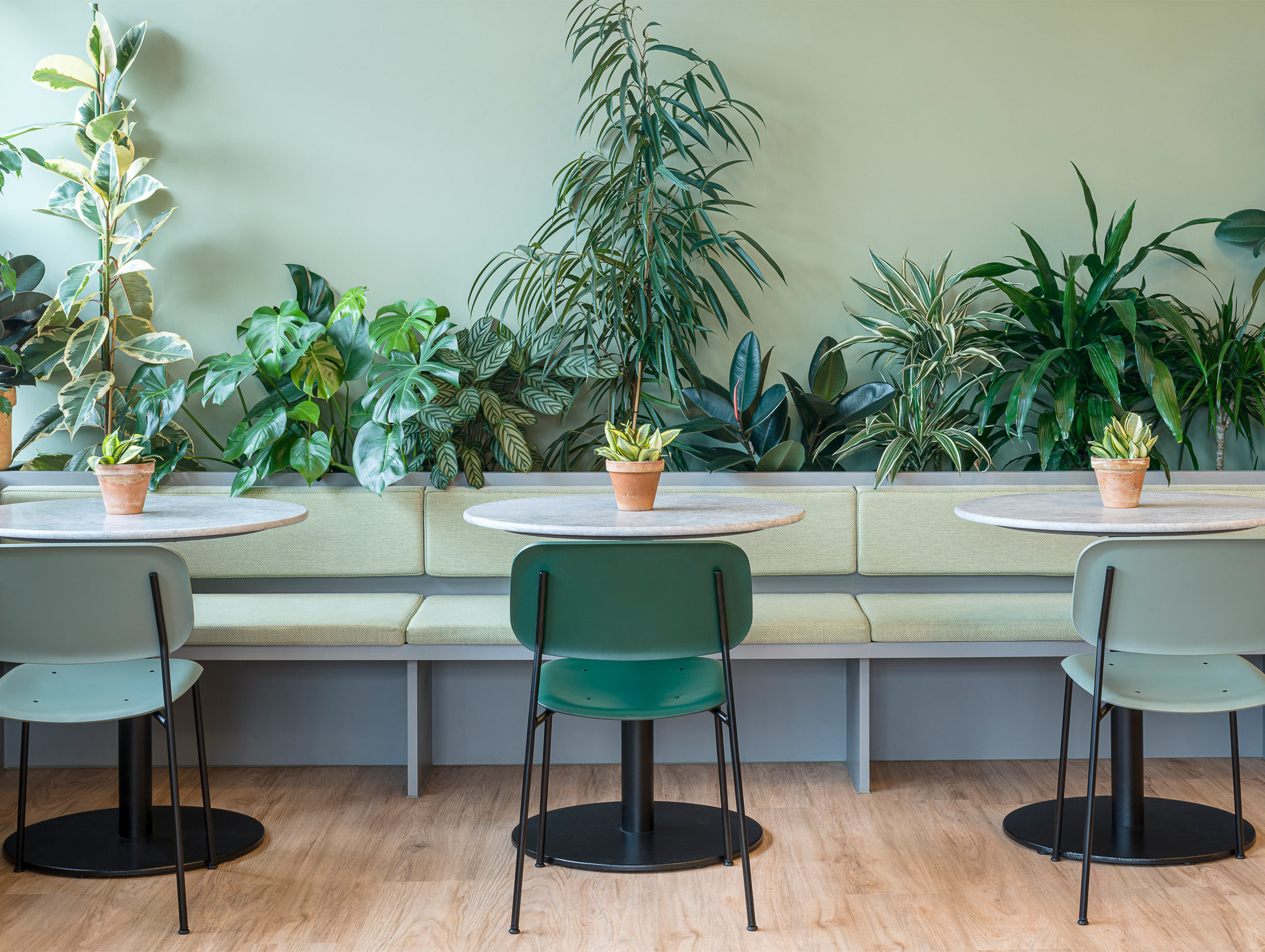 Kiwi Pom Gardeners Retreat 1 image