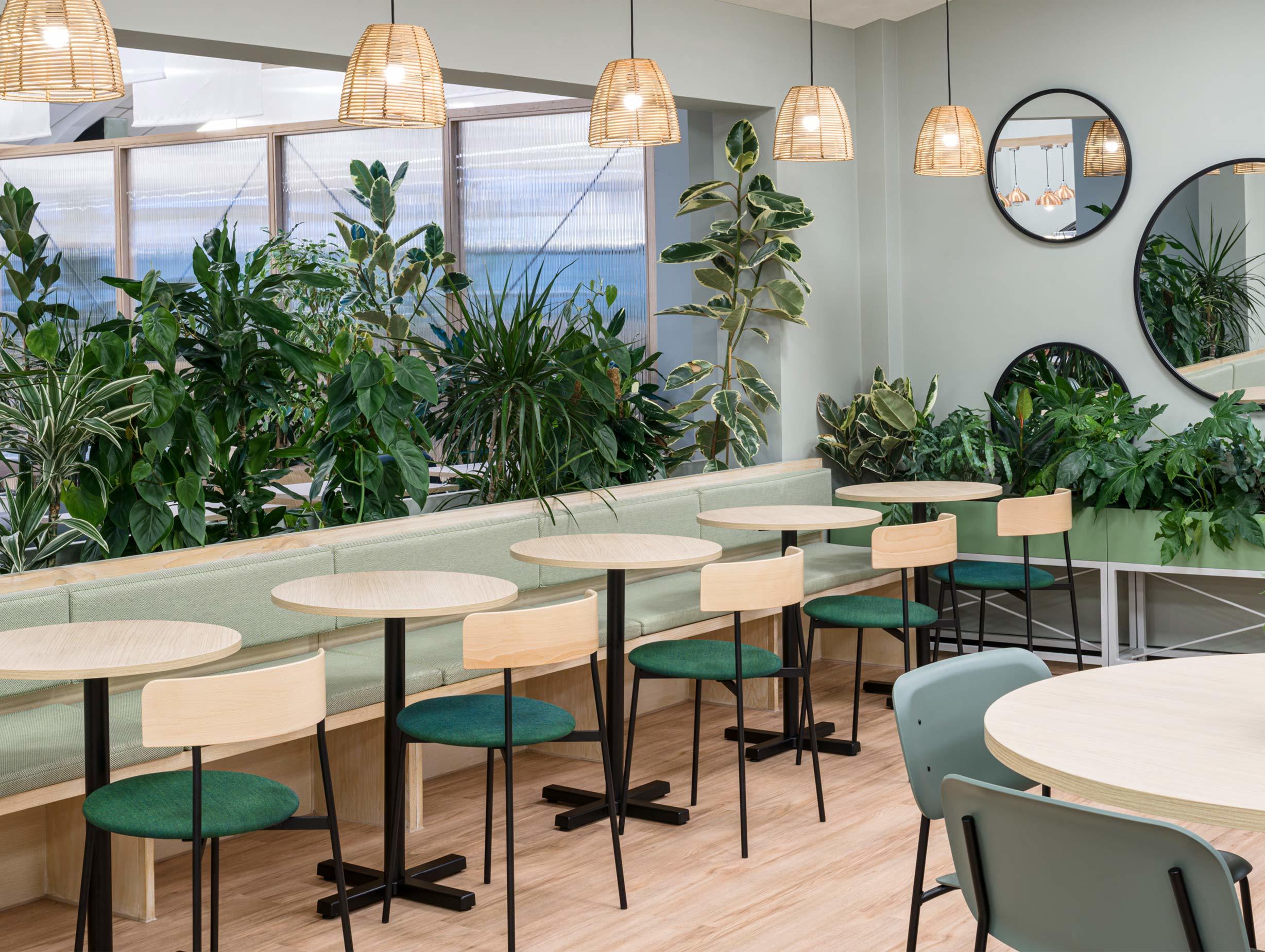 Kiwi Pom Gardeners Retreat 2 image