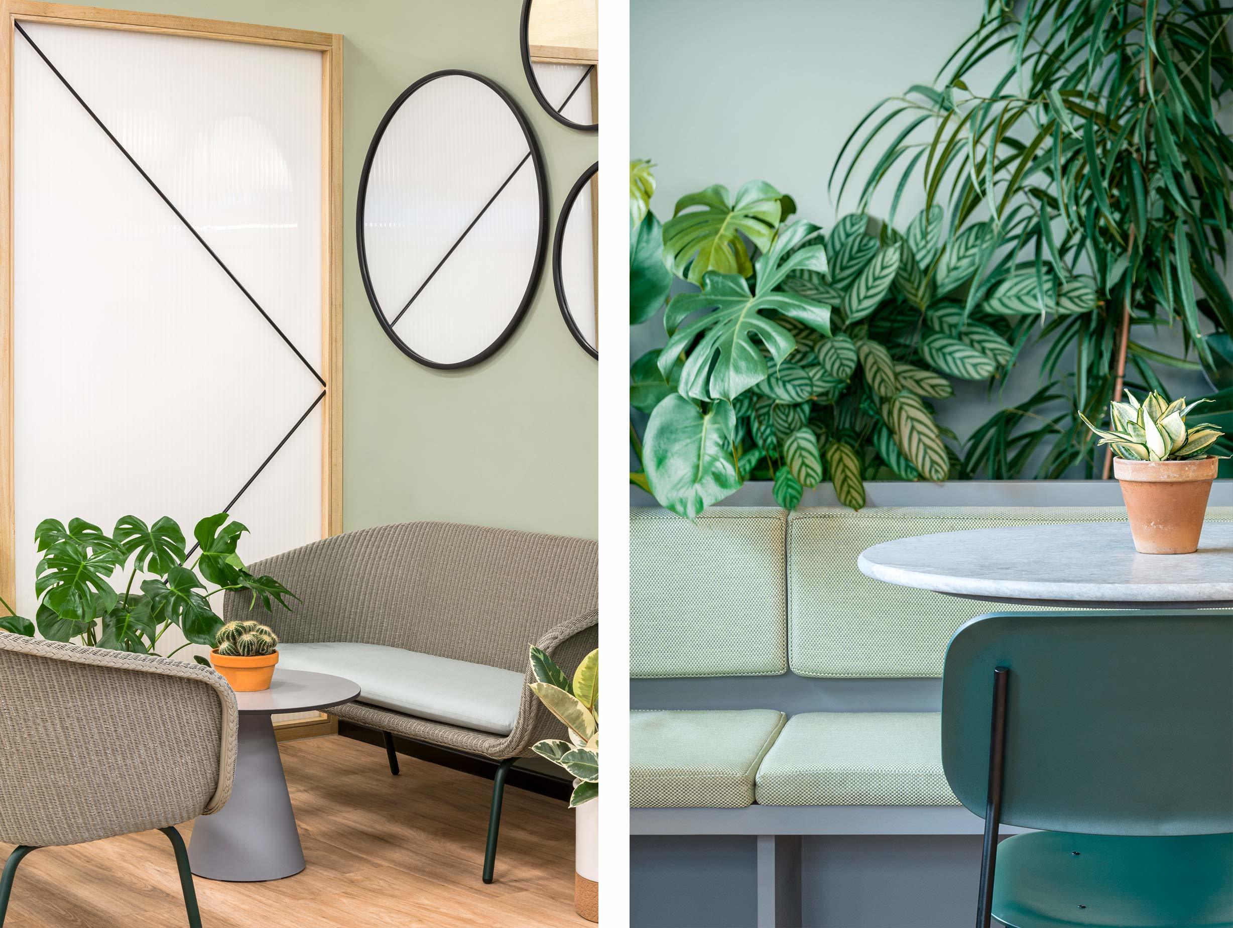 Kiwi Pom Gardeners Retreat 3 image