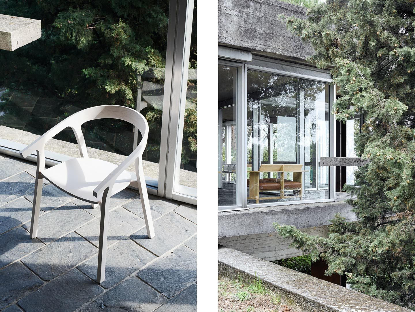 Mattiazzi clerici he said she said image